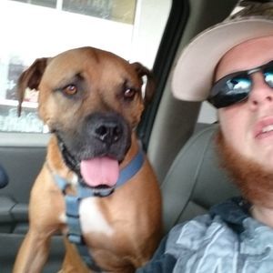 Meet your Posher, Allan